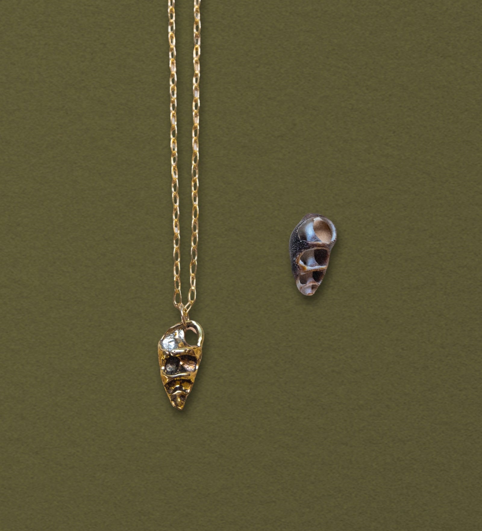 Cerith Shell Pendant Necklace, Bronze - Dea Dia
