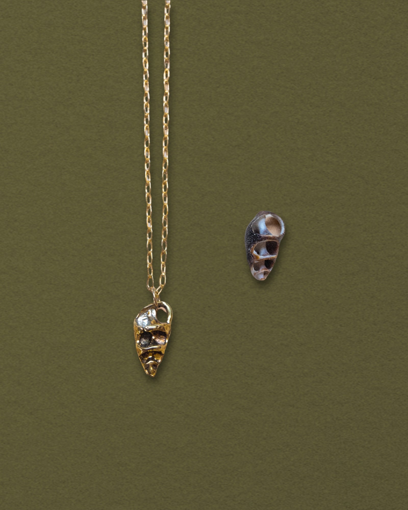 Cerith Shell Pendant Necklace, Bronze - Dea Dia