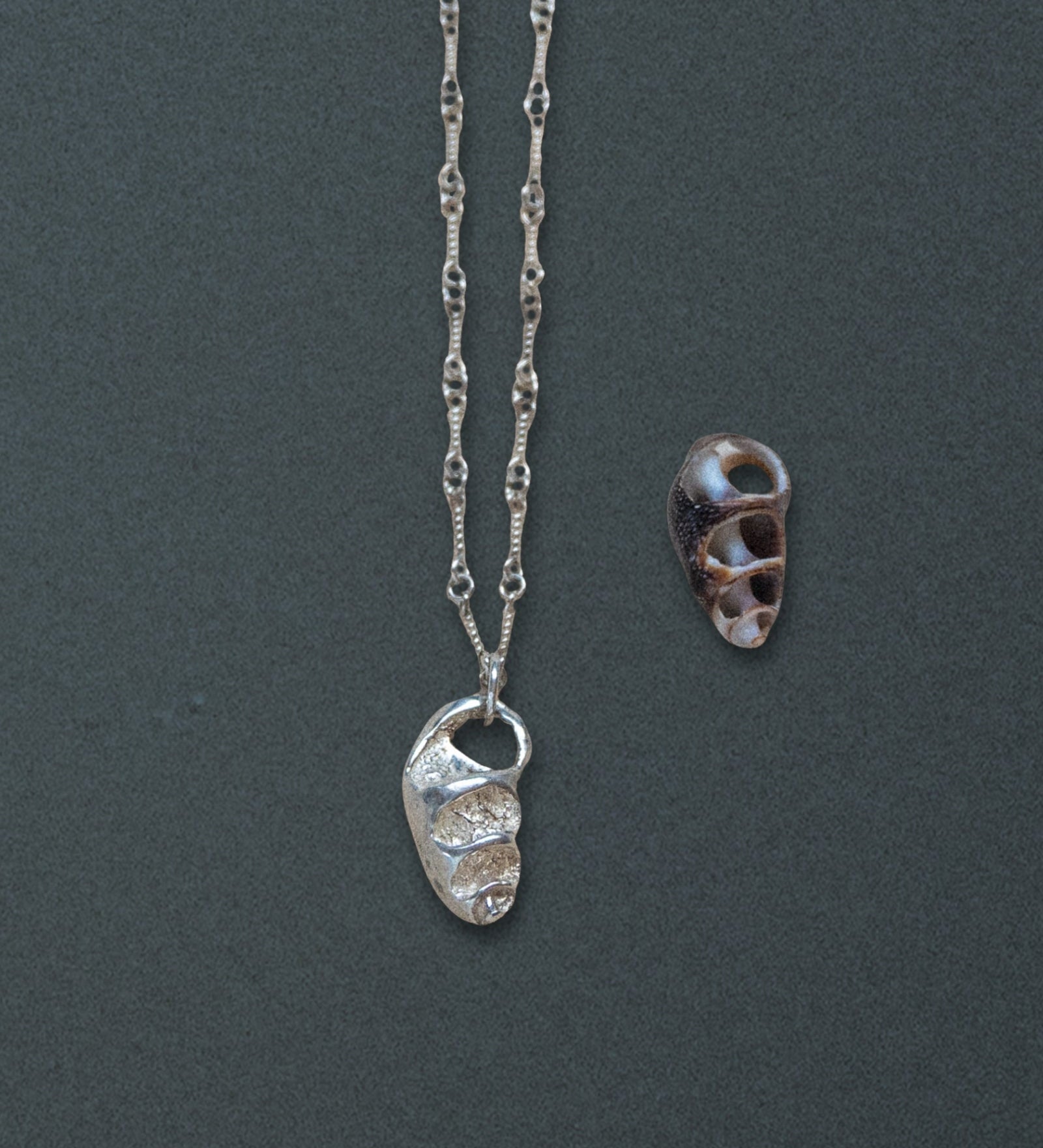 Cerith Shell Pendant Necklace, Silver - Dea Dia