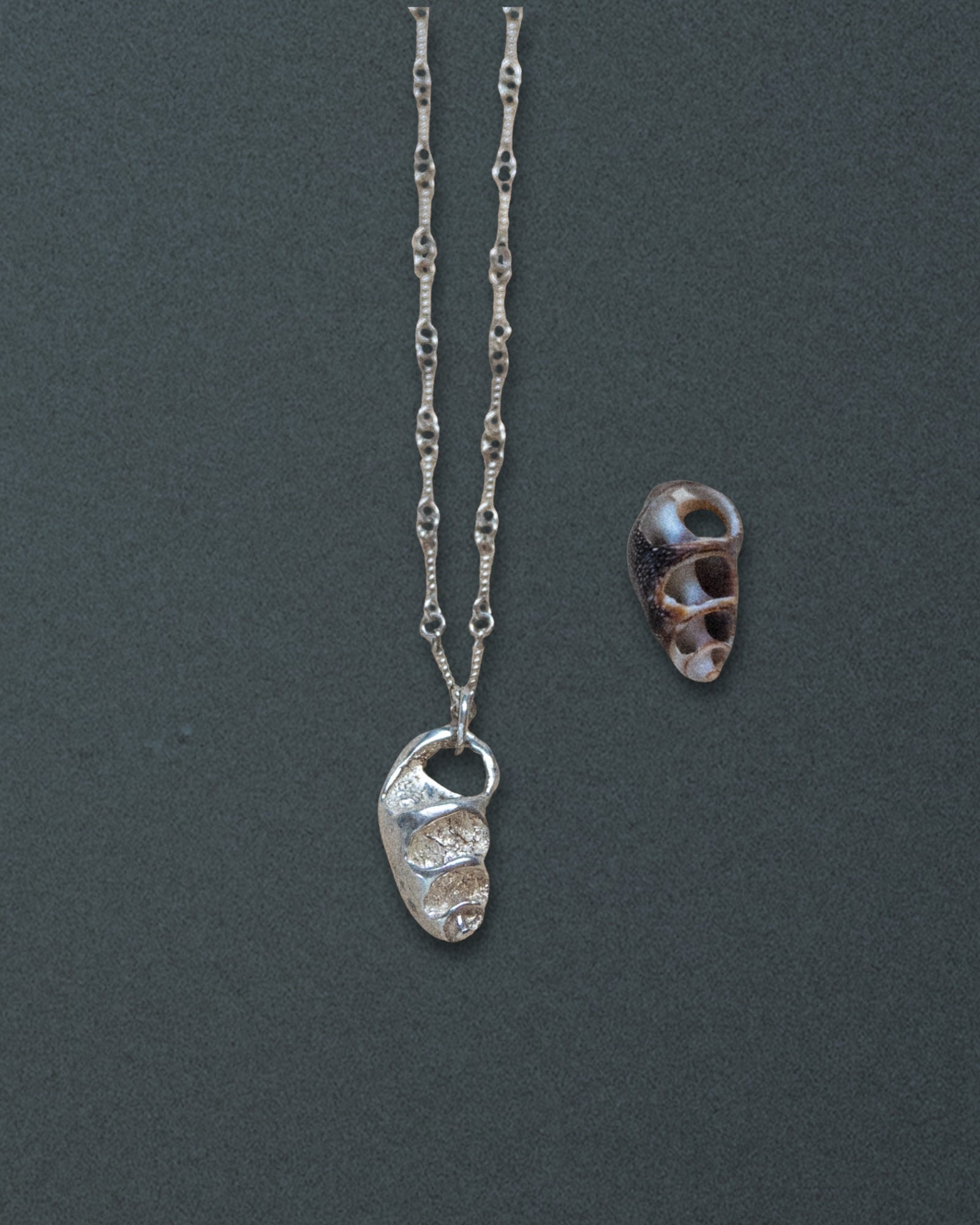 Cerith Shell Pendant Necklace, Silver - Dea Dia