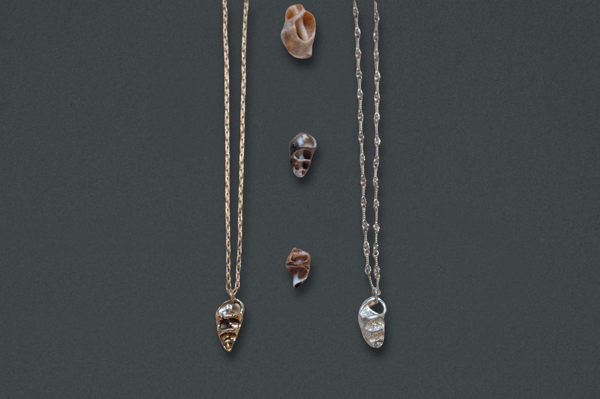 Cerith Shell Pendant Necklace, Silver - Dea Dia