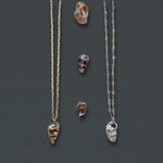 Cerith Shell Pendant Necklace, Silver - Dea Dia
