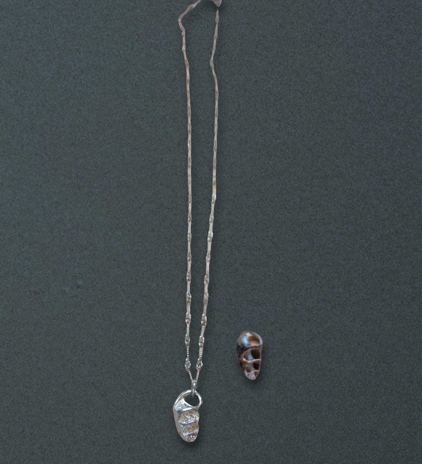 Cerith Shell Pendant Necklace, Silver - Dea Dia