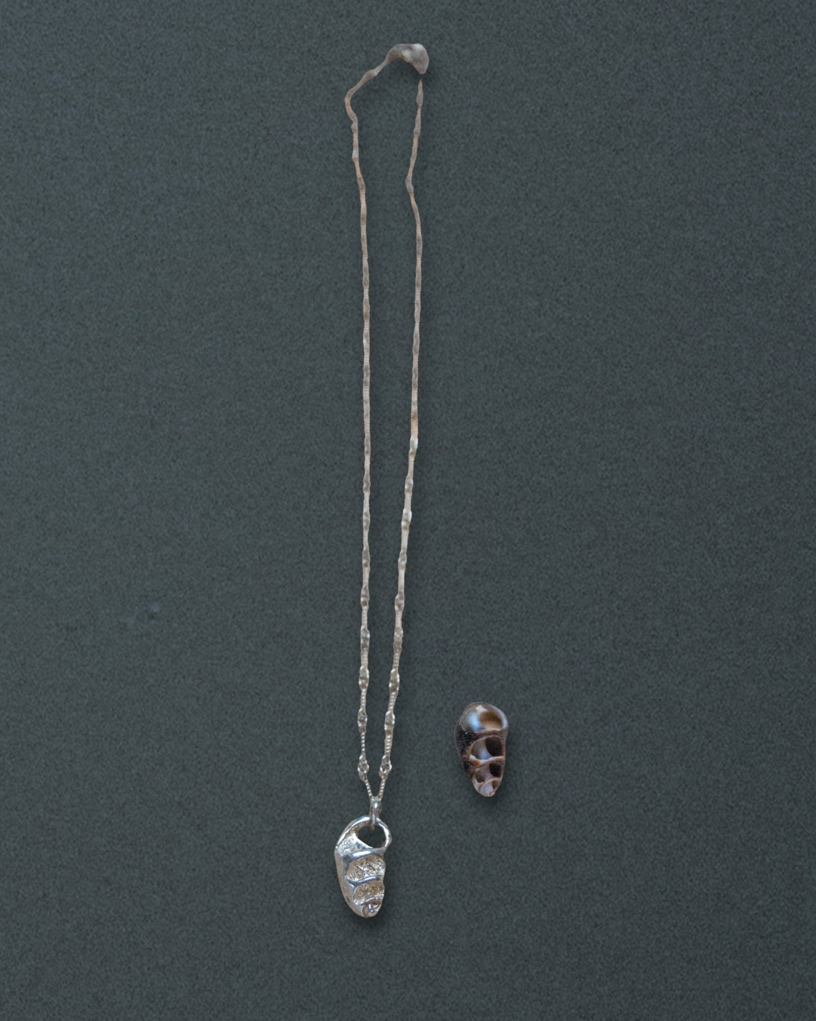 Cerith Shell Pendant Necklace, Silver - Dea Dia