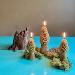 Morel Mushroom Beeswax Candle - Dea Dia