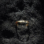One of a Kind Terrain Sapphire Gold Ring - Dea Dia