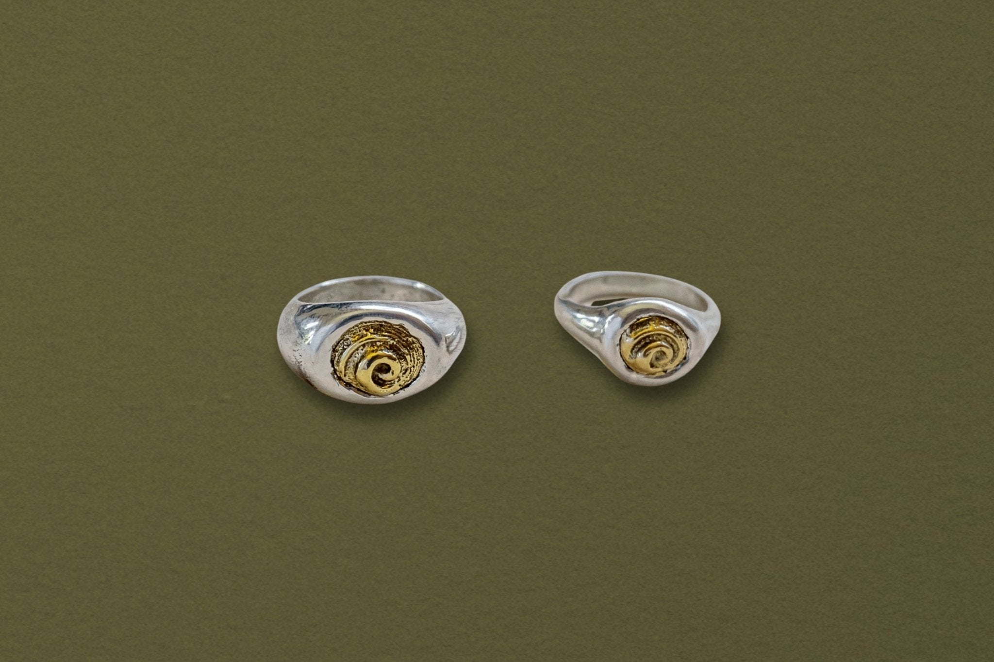 Petite Spiral Shell Signet Ring, Mixed Metal - Dea Dia