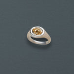 Petite Spiral Shell Signet Ring, Mixed Metal - Dea Dia