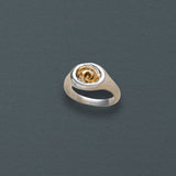 Petite Spiral Shell Signet Ring, Mixed Metal - Dea Dia