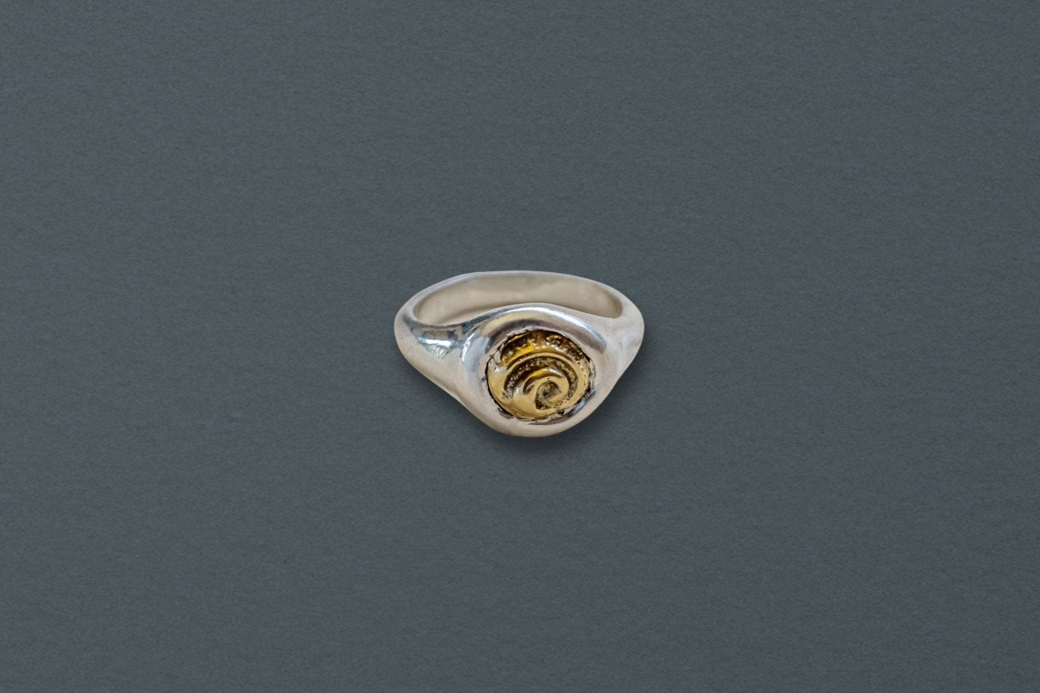 Petite Spiral Shell Signet Ring, Mixed Metal - Dea Dia