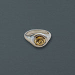 Petite Spiral Shell Signet Ring, Mixed Metal - Dea Dia