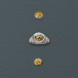 Petite Spiral Shell Signet Ring, Mixed Metal - Dea Dia