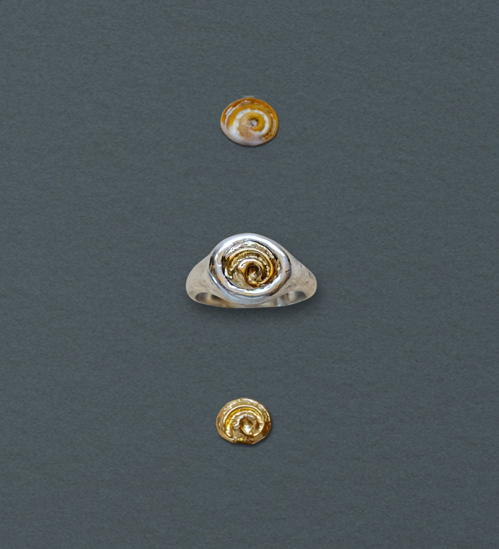 Petite Spiral Shell Signet Ring, Mixed Metal - Dea Dia