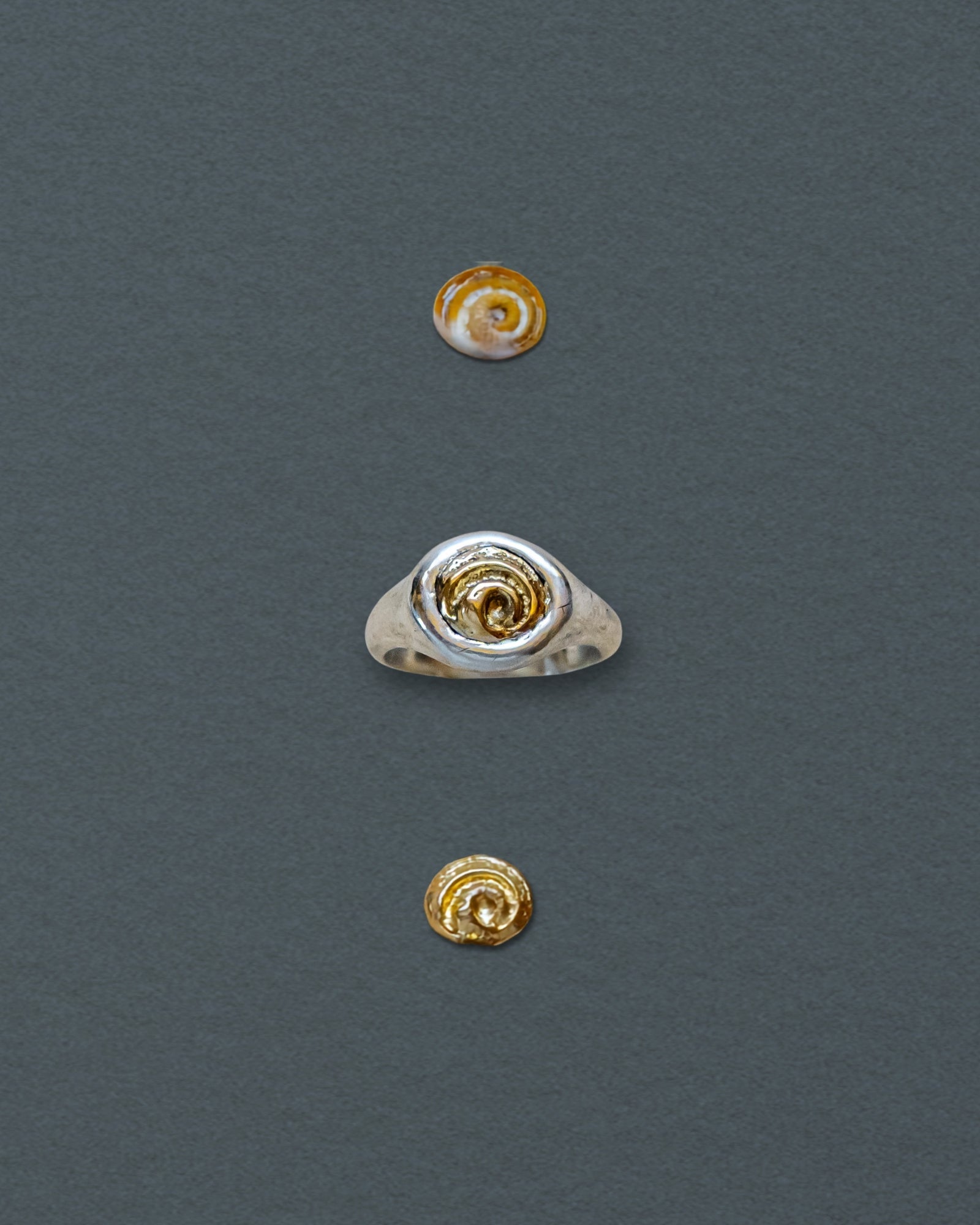 Petite Spiral Shell Signet Ring, Mixed Metal - Dea Dia