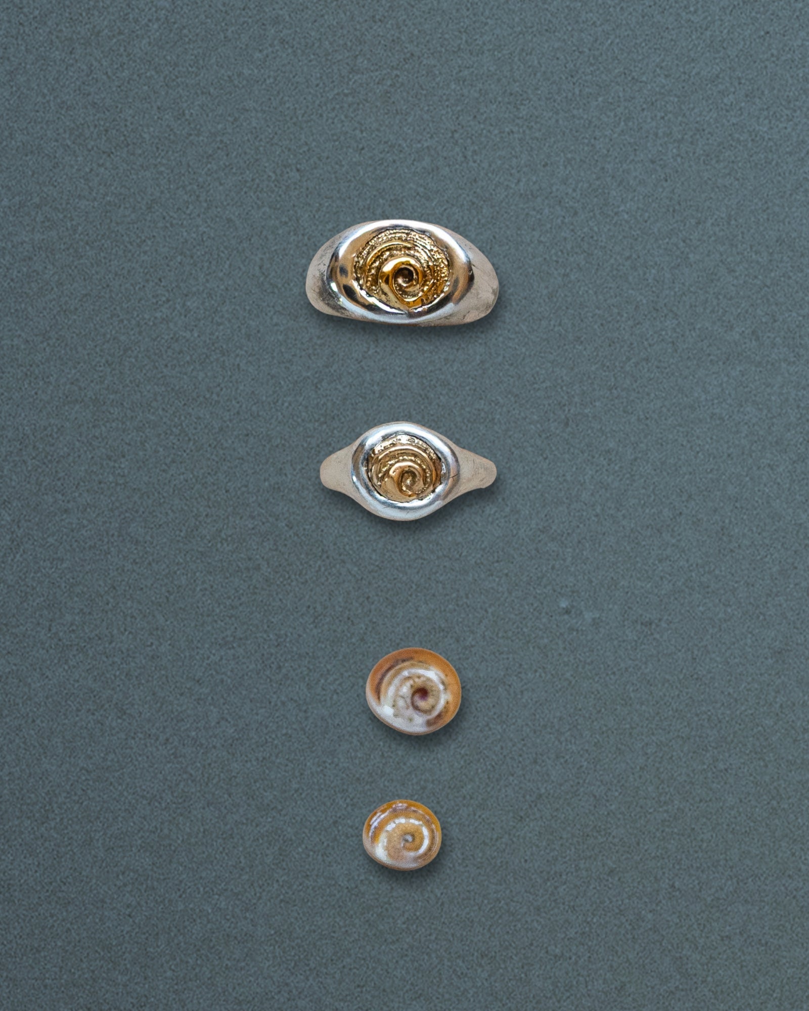 Petite Spiral Shell Signet Ring, Mixed Metal - Dea Dia