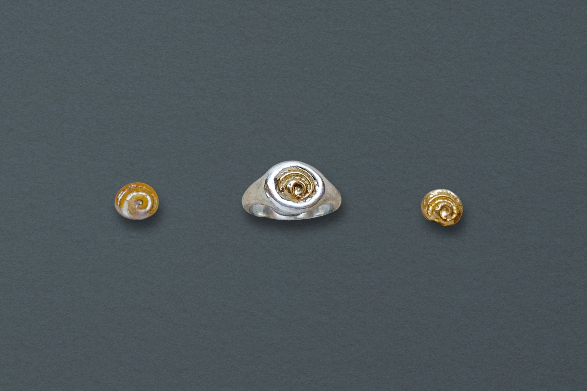Petite Spiral Shell Signet Ring, Mixed Metal - Dea Dia