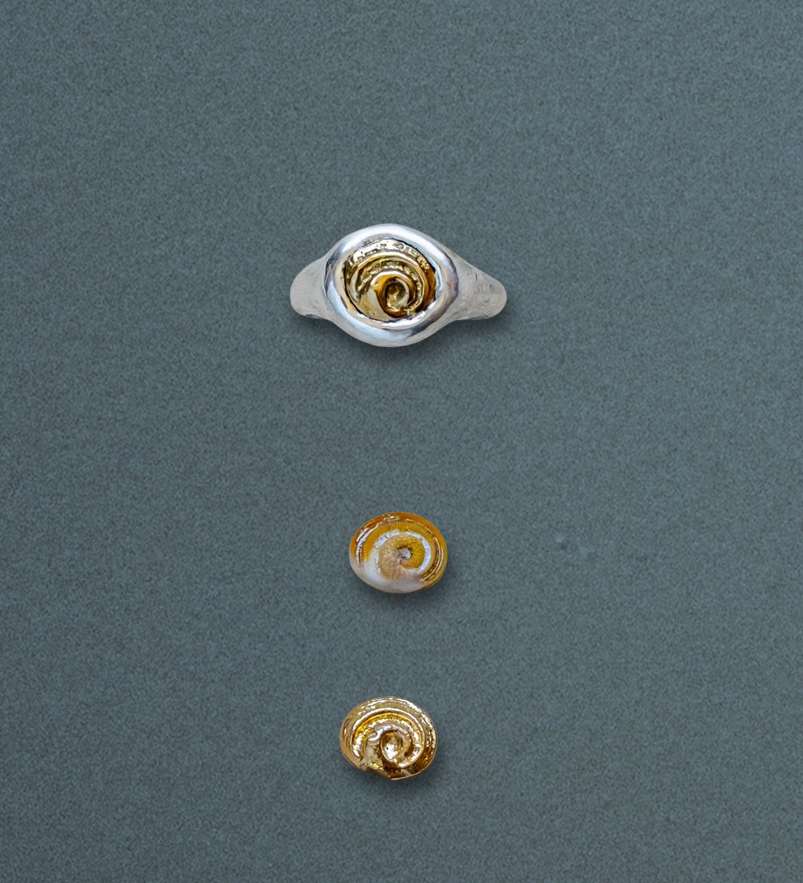 Petite Spiral Shell Signet Ring, Mixed Metal - Dea Dia