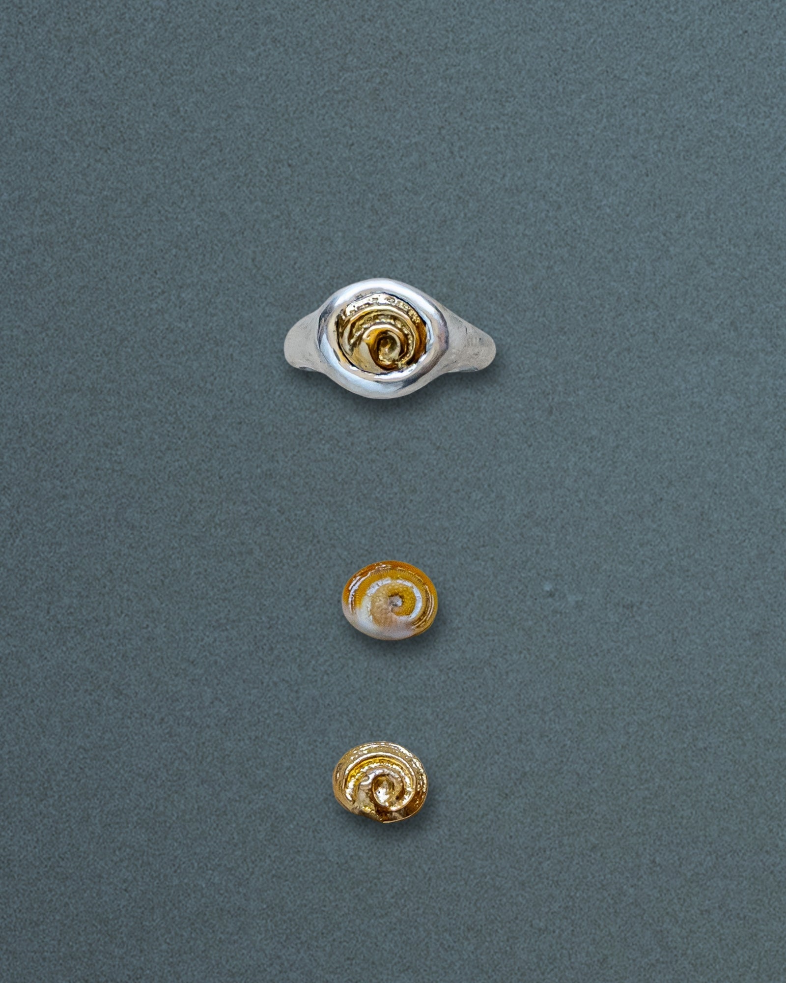 Petite Spiral Shell Signet Ring, Mixed Metal - Dea Dia