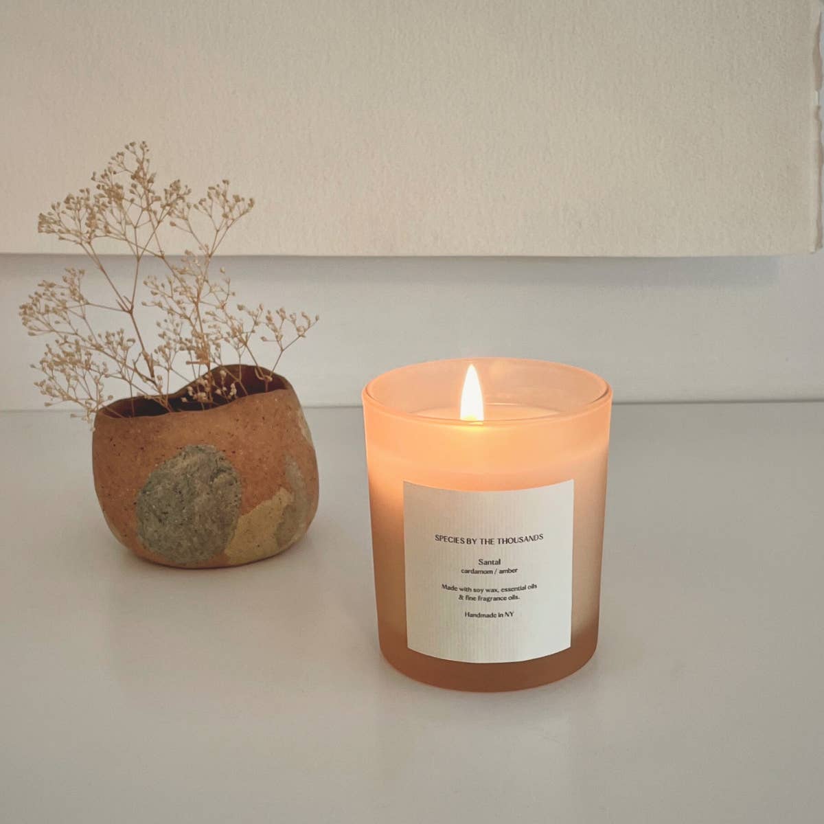 Santal, Cardamom + Amber Handcrafted Scented Soy Candle - Dea Dia