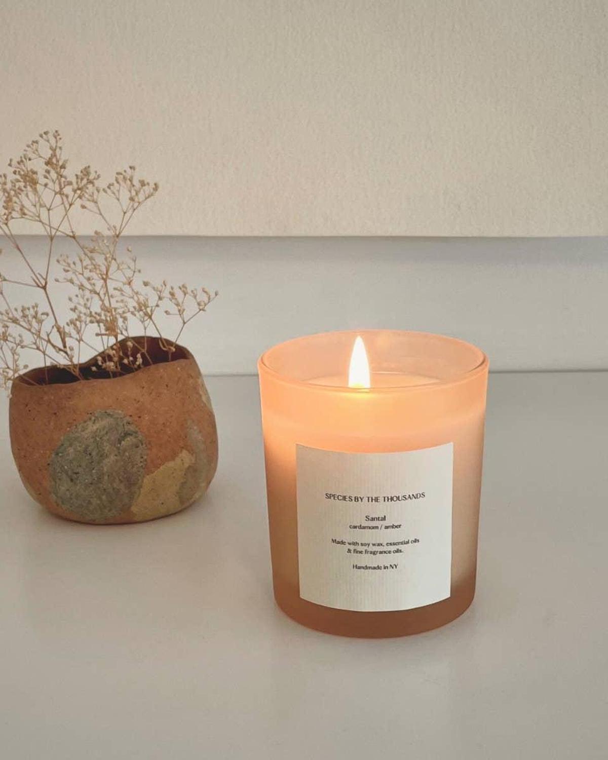 Santal, Cardamom + Amber Handcrafted Scented Soy Candle - Dea Dia