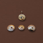 Shiva Shell Charm, 14k Gold with Teal Sapphire - Dea Dia