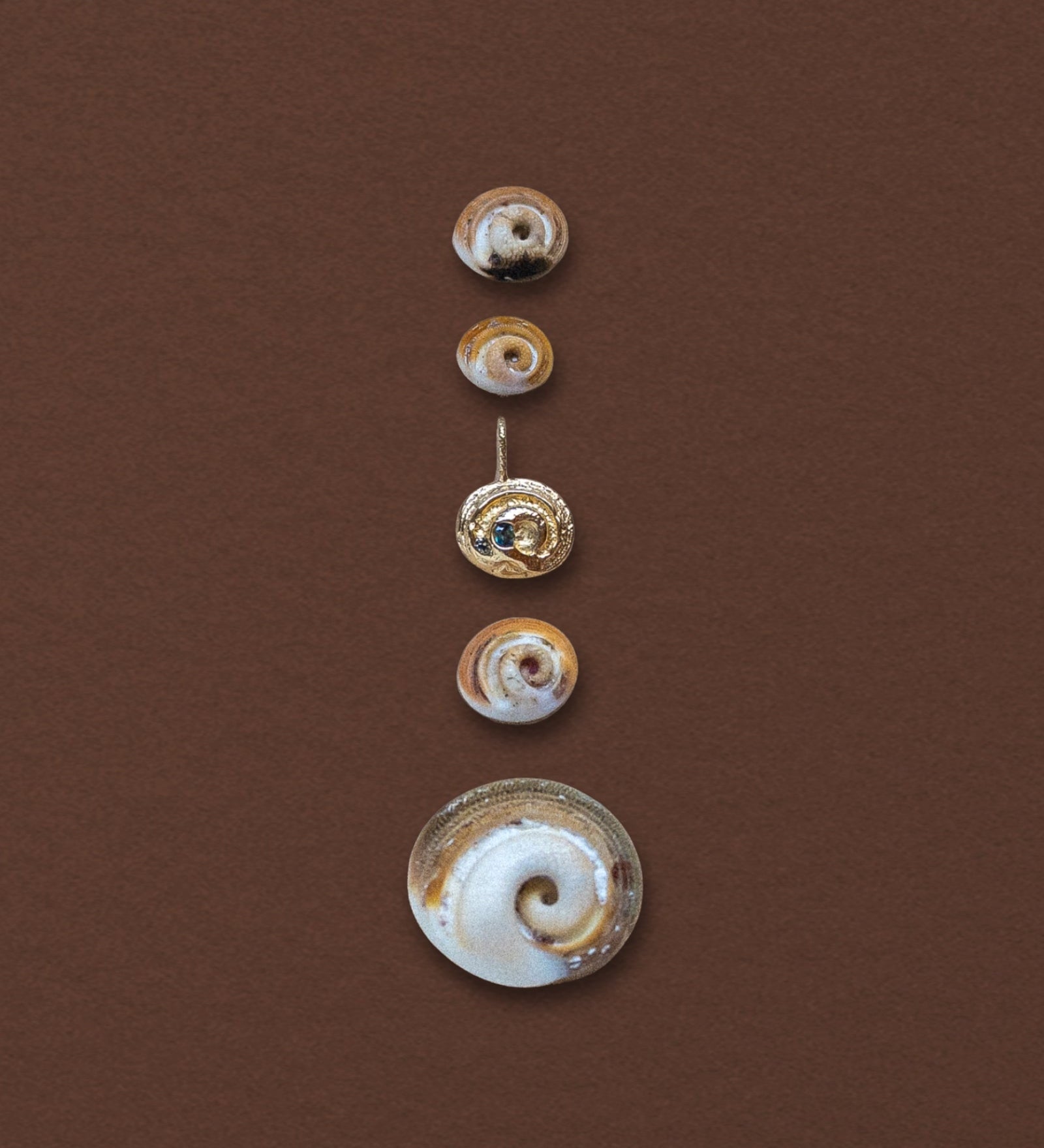 Shiva Shell Charm, 14k Gold with Teal Sapphire - Dea Dia