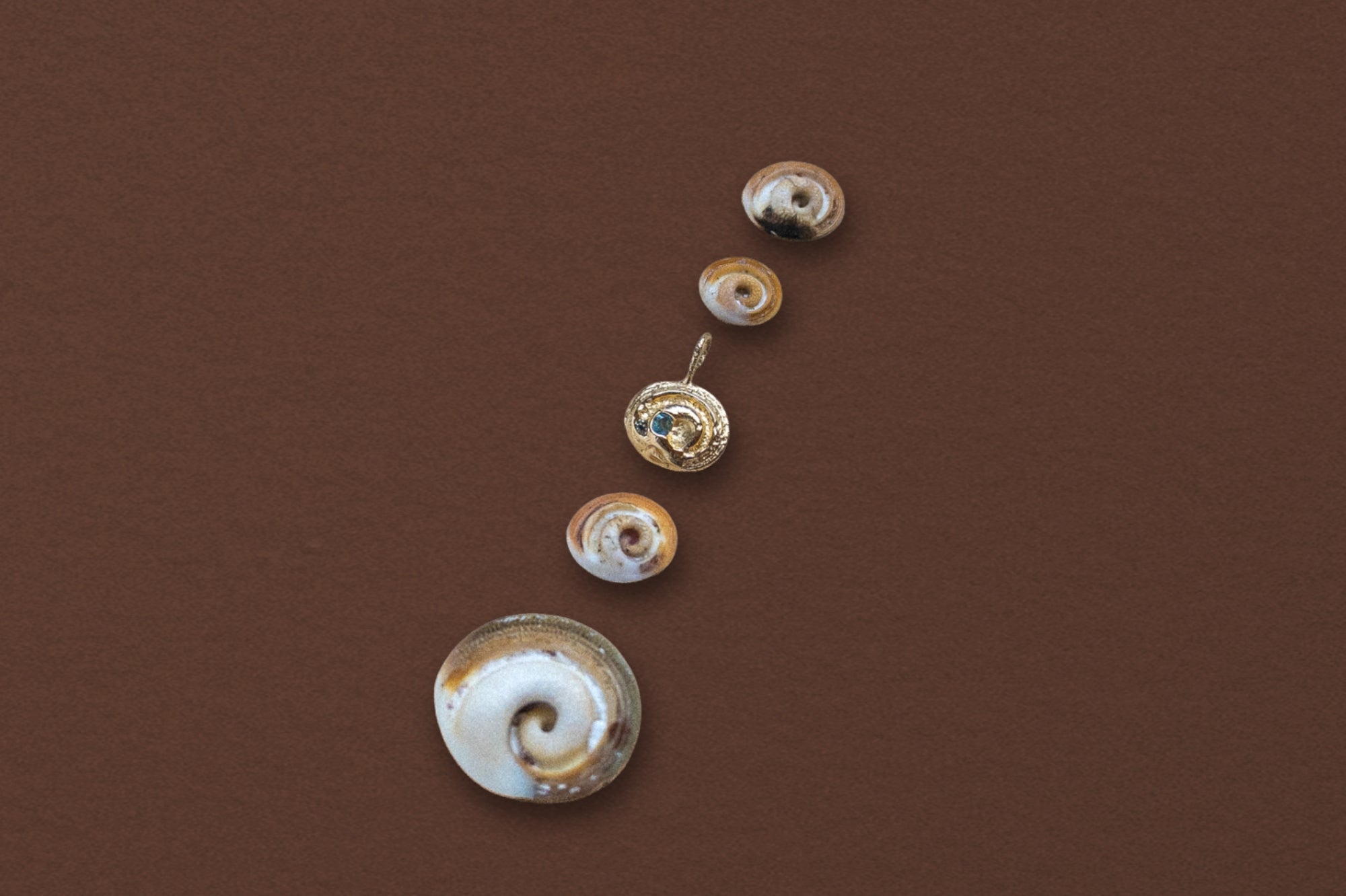 Shiva Shell Charm, 14k Gold with Teal Sapphire - Dea Dia