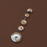 Shiva Shell Charm, 14k Gold with Teal Sapphire - Dea Dia