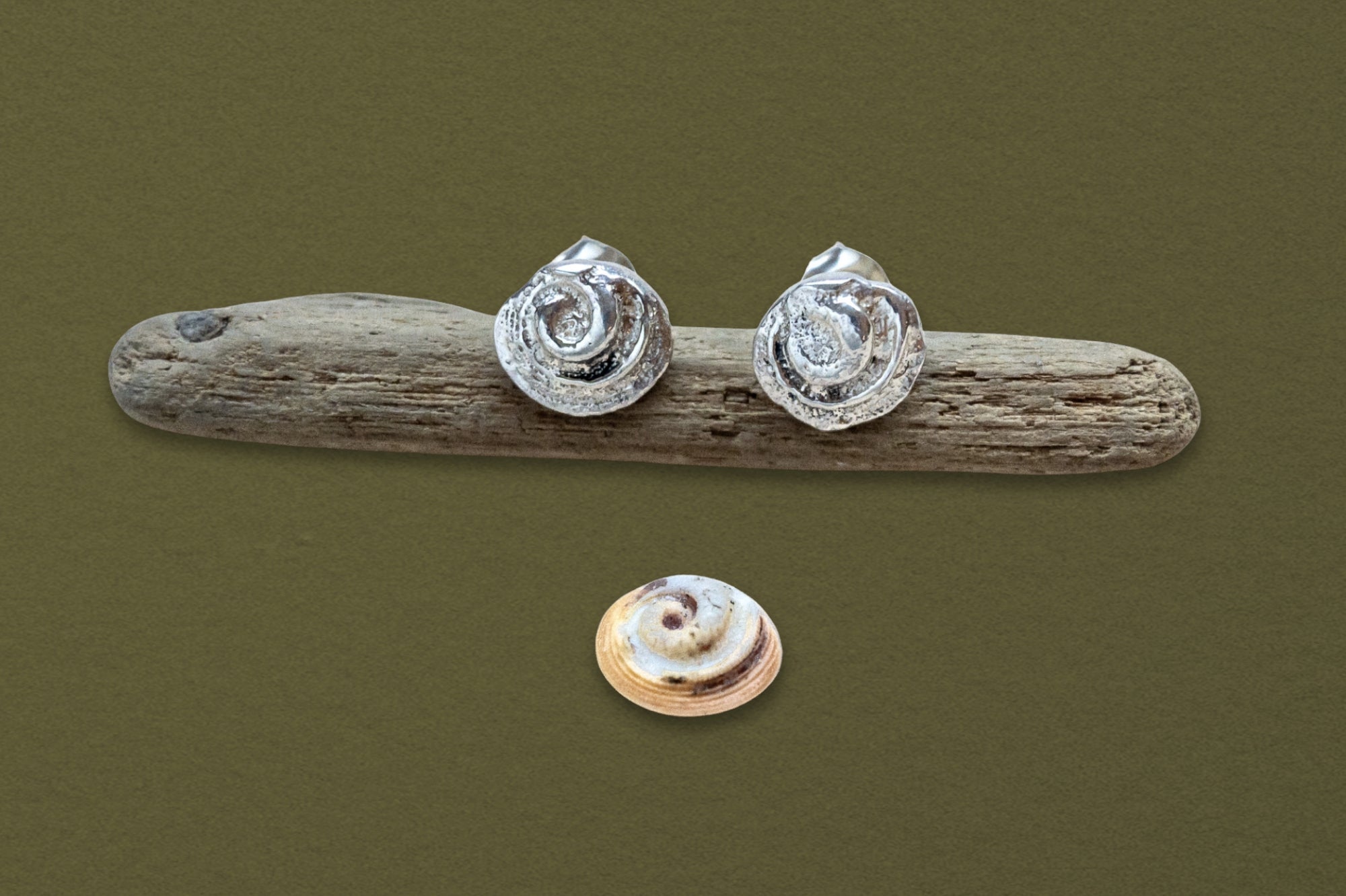 Shiva Shell Stud Earrings - Dea Dia