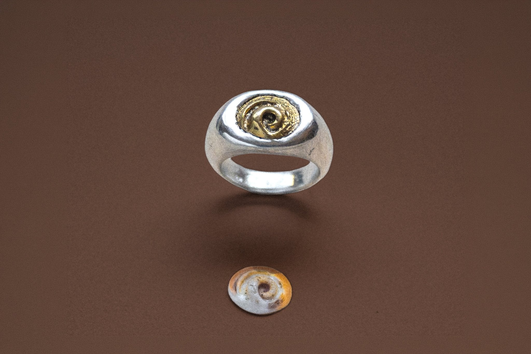 Spiral Shell Signet Ring, Mixed Metal - Dea Dia