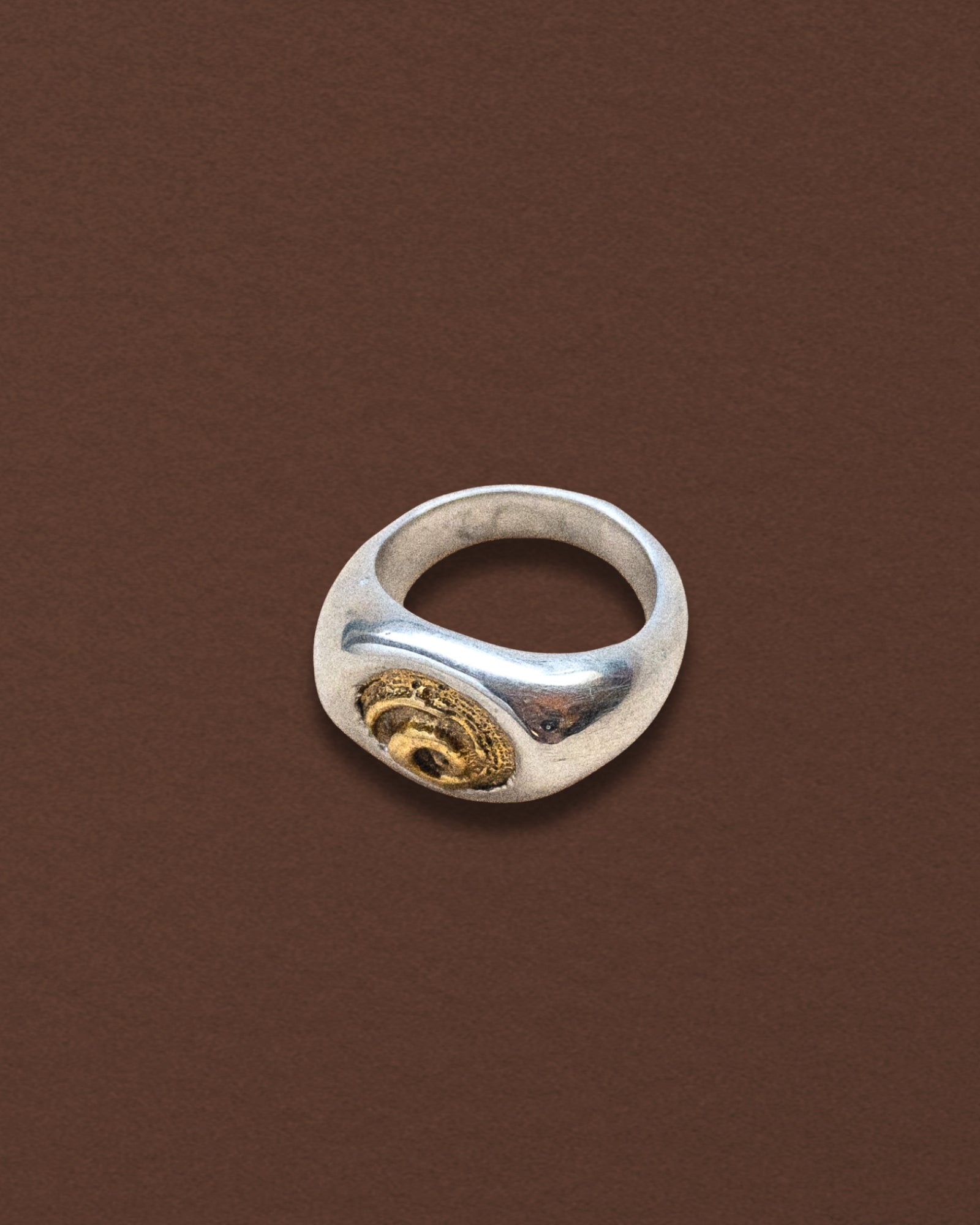 Spiral Shell Signet Ring, Mixed Metal - Dea Dia