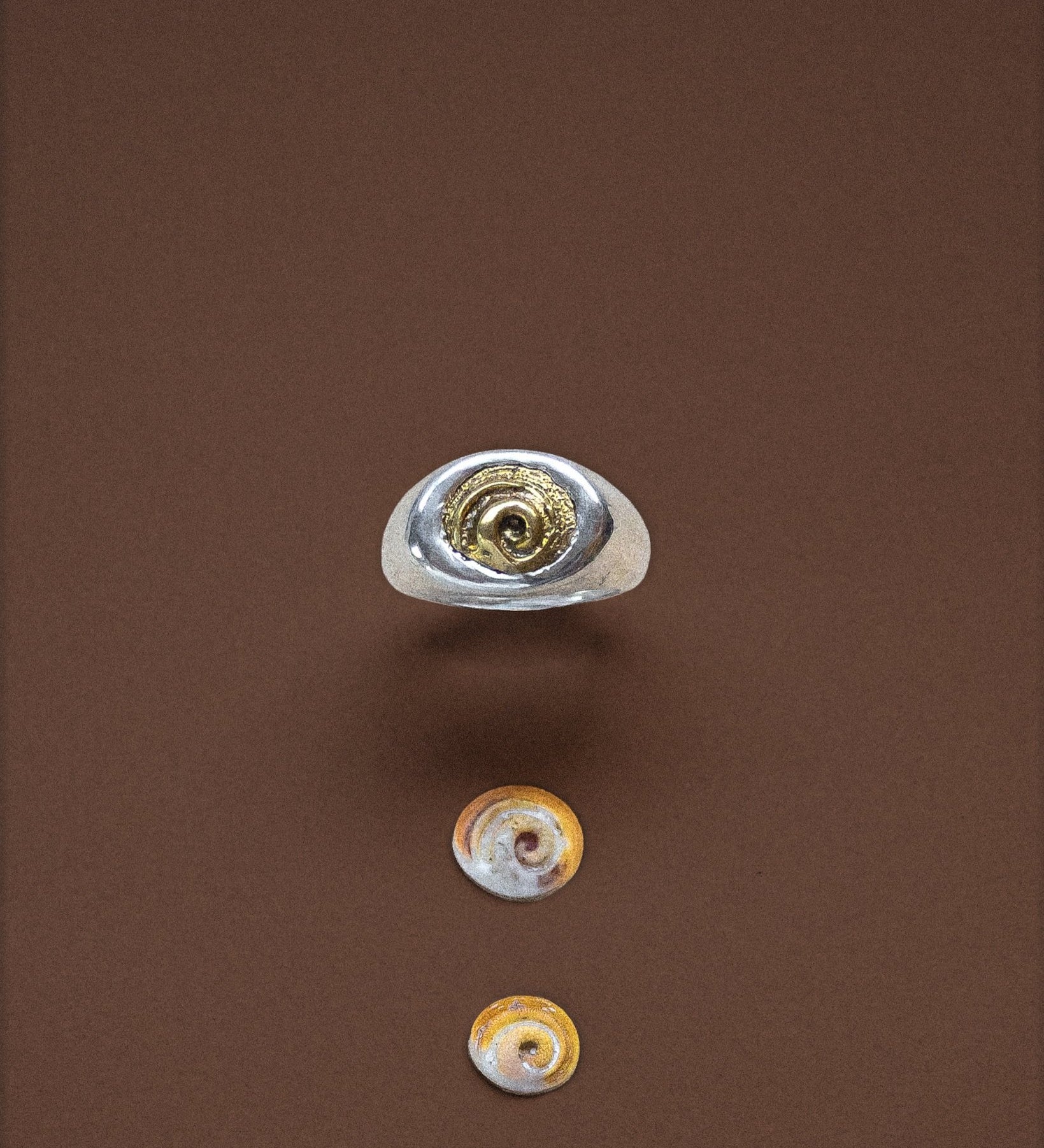 Spiral Shell Signet Ring, Mixed Metal - Dea Dia