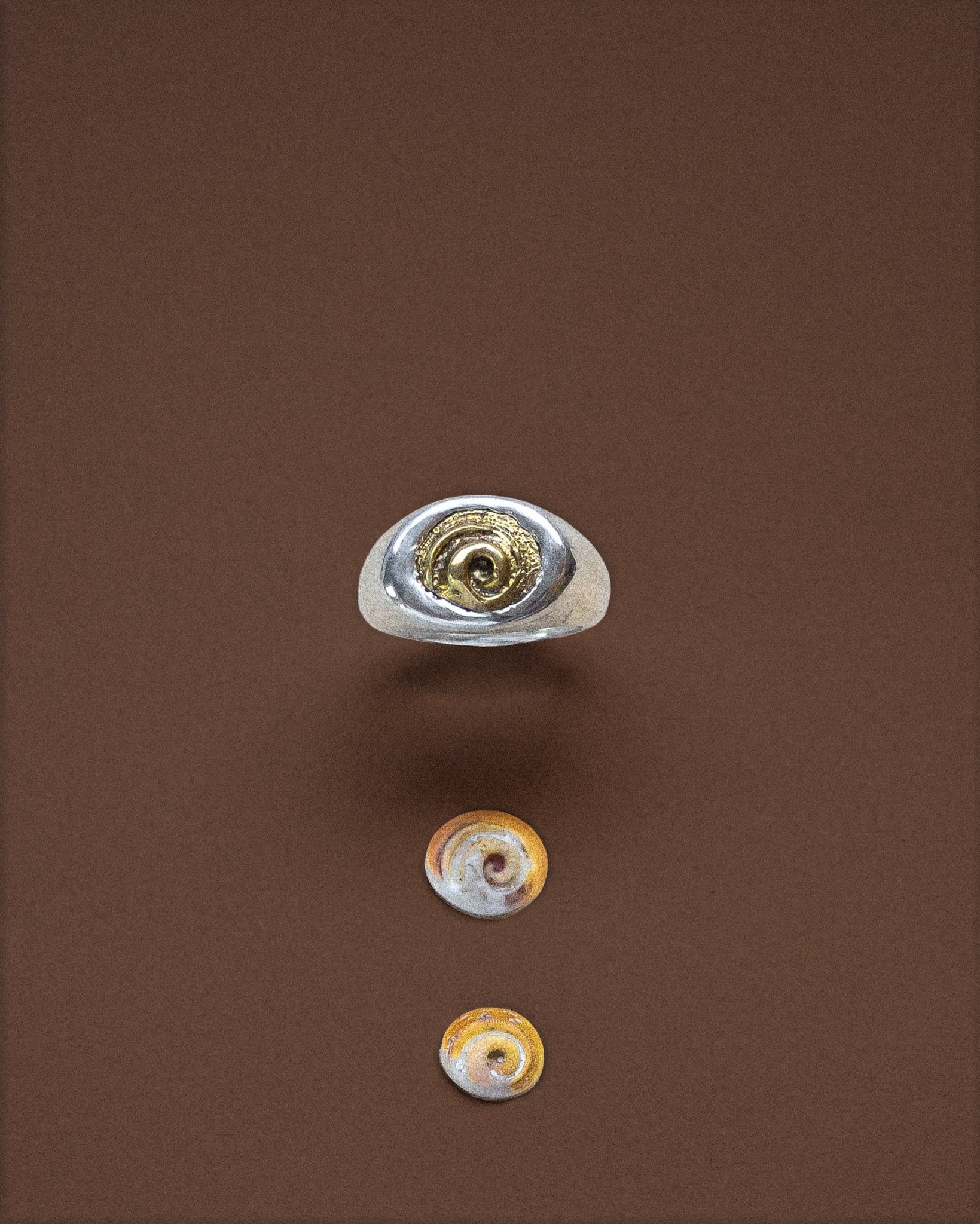 Spiral Shell Signet Ring, Mixed Metal - Dea Dia