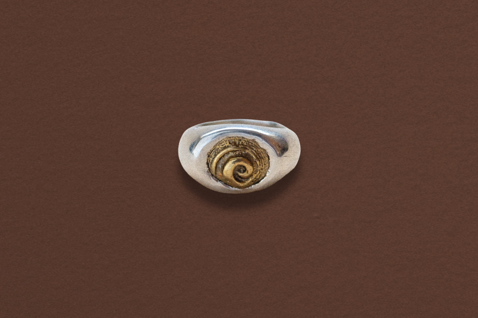Spiral Shell Signet Ring, Mixed Metal - Dea Dia