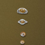 Spiral Shell Signet Ring, Mixed Metal - Dea Dia
