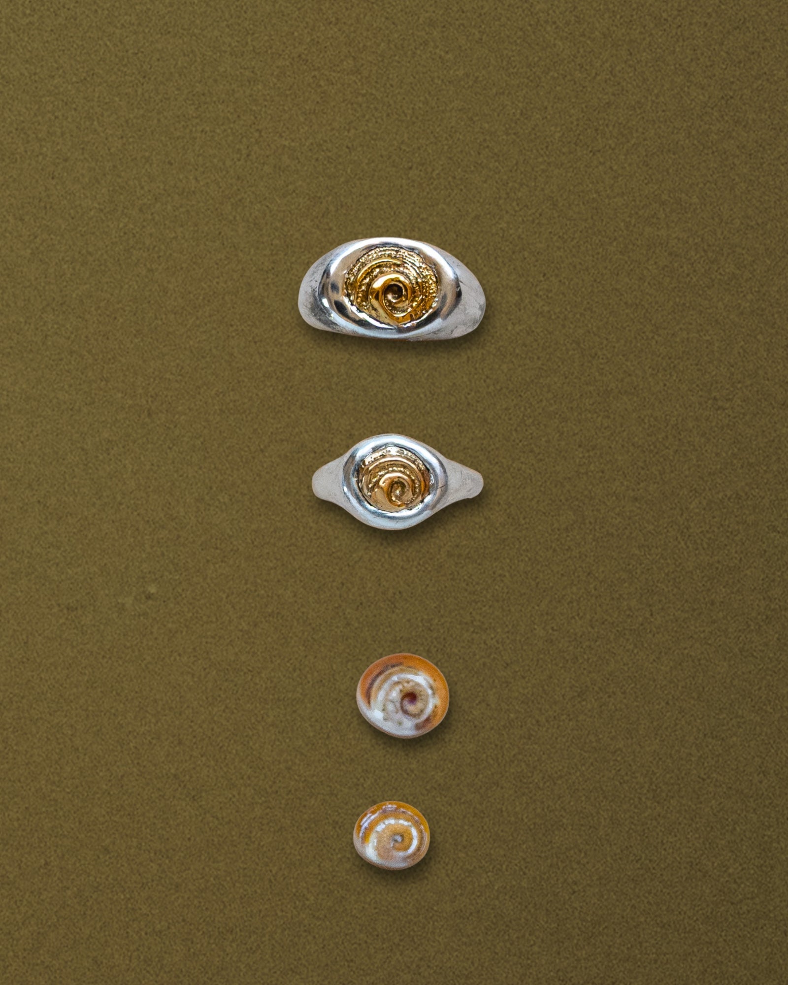 Spiral Shell Signet Ring, Mixed Metal - Dea Dia
