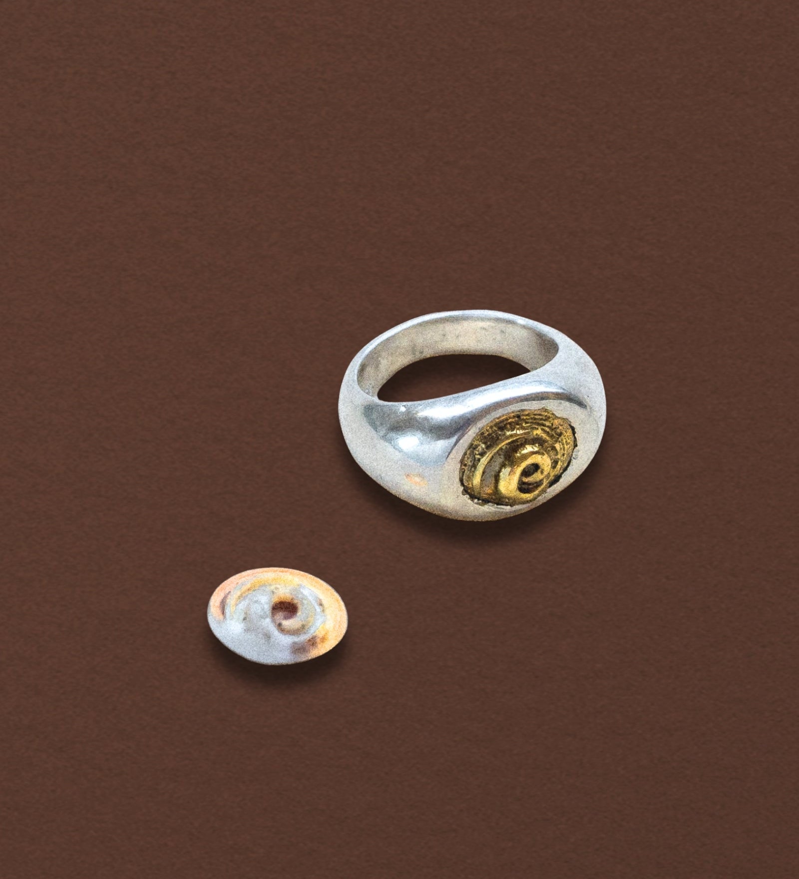 Spiral Shell Signet Ring, Mixed Metal - Dea Dia