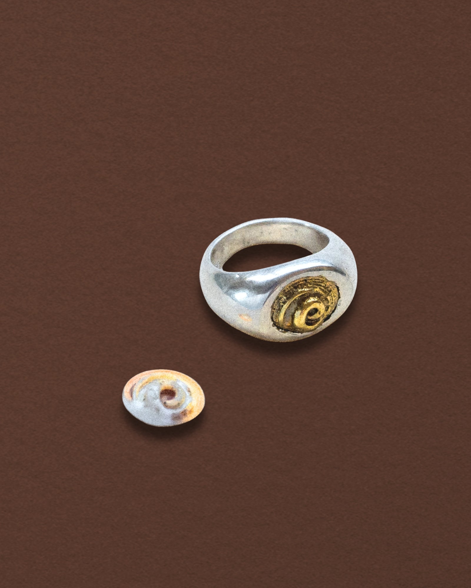 Spiral Shell Signet Ring, Mixed Metal - Dea Dia