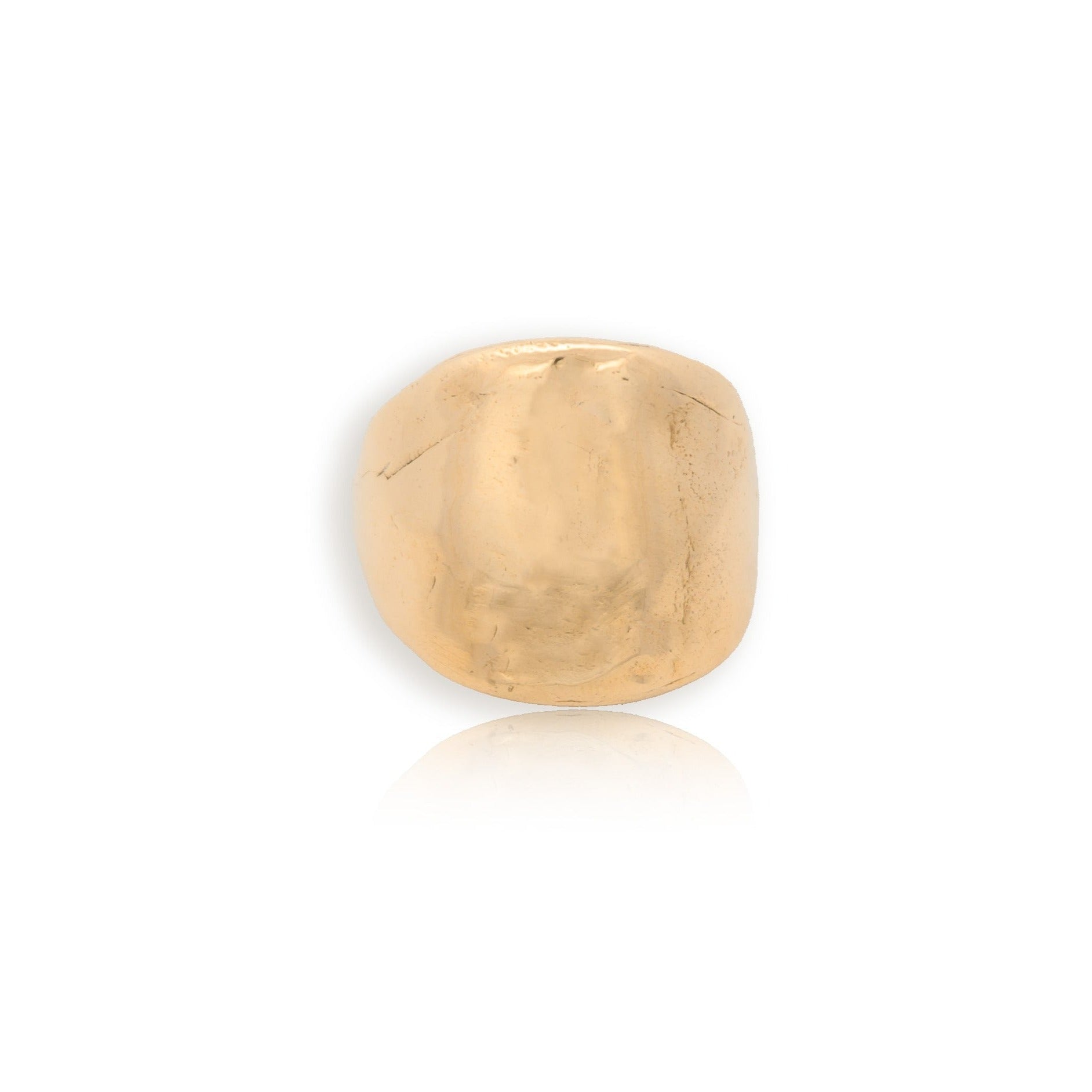 The 14k Protector Ring - Solid Gold Shield Signet Ring - Dea Dia