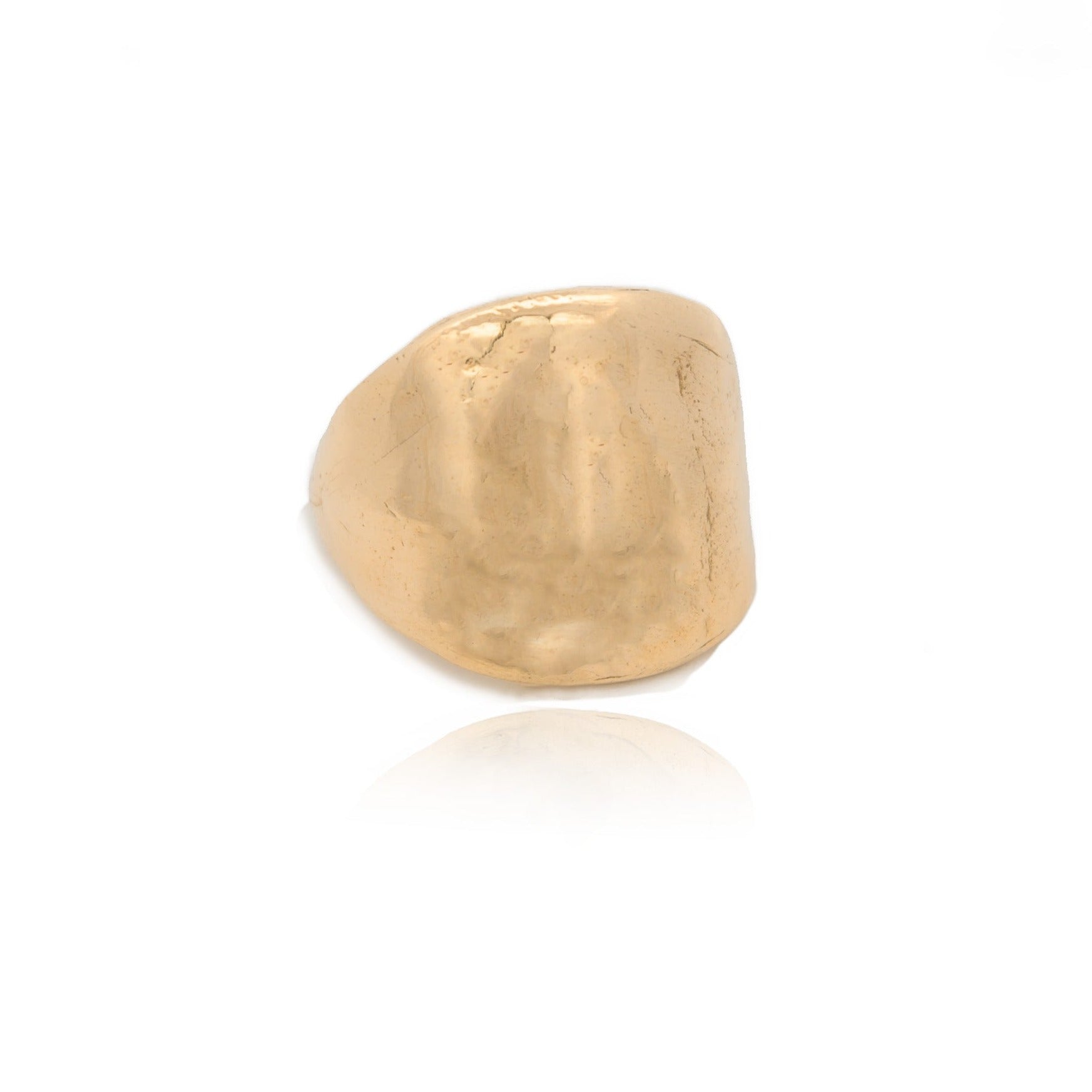 The 14k Protector Ring - Solid Gold Shield Signet Ring - Dea Dia