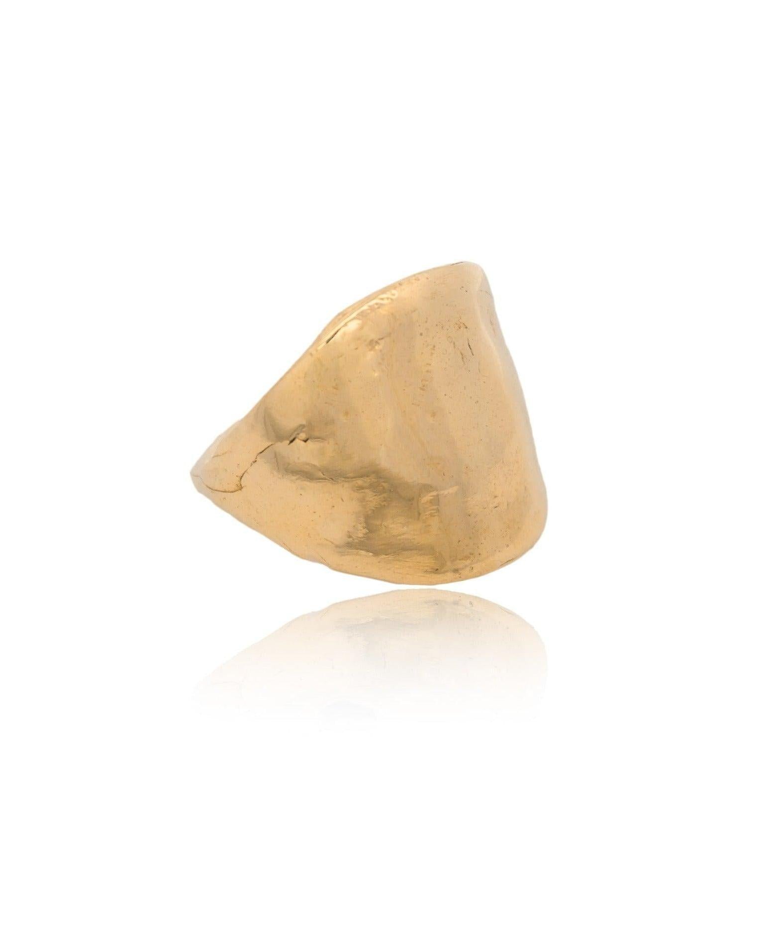 The Protector Ring - Gold Shield Signet Ring - Dea Dia