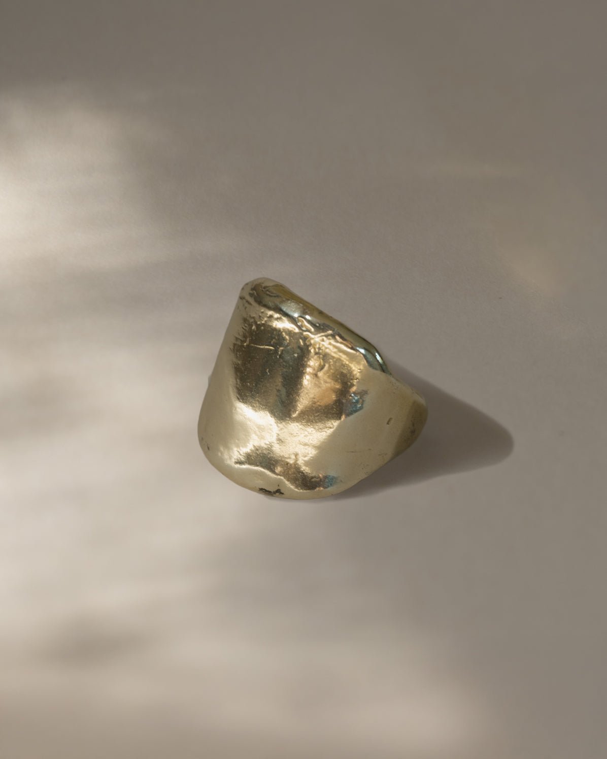 The Protector Ring - Gold Shield Signet Ring - Dea Dia