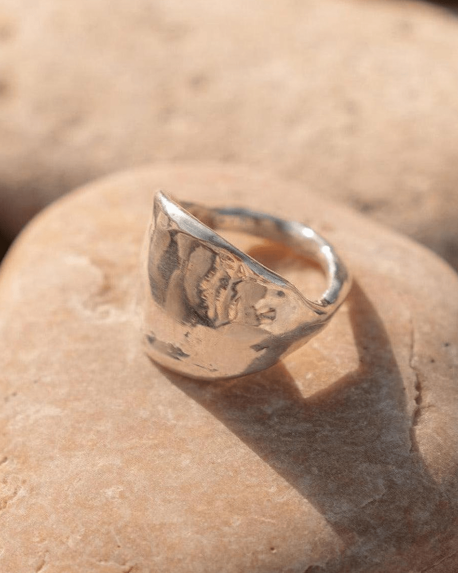The Protector Ring - Silver Shield Signet Ring - Dea Dia