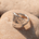 The Protector Ring - Silver Shield Signet Ring - Dea Dia