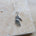 Hamsa Necklace Silver - Dea Dia