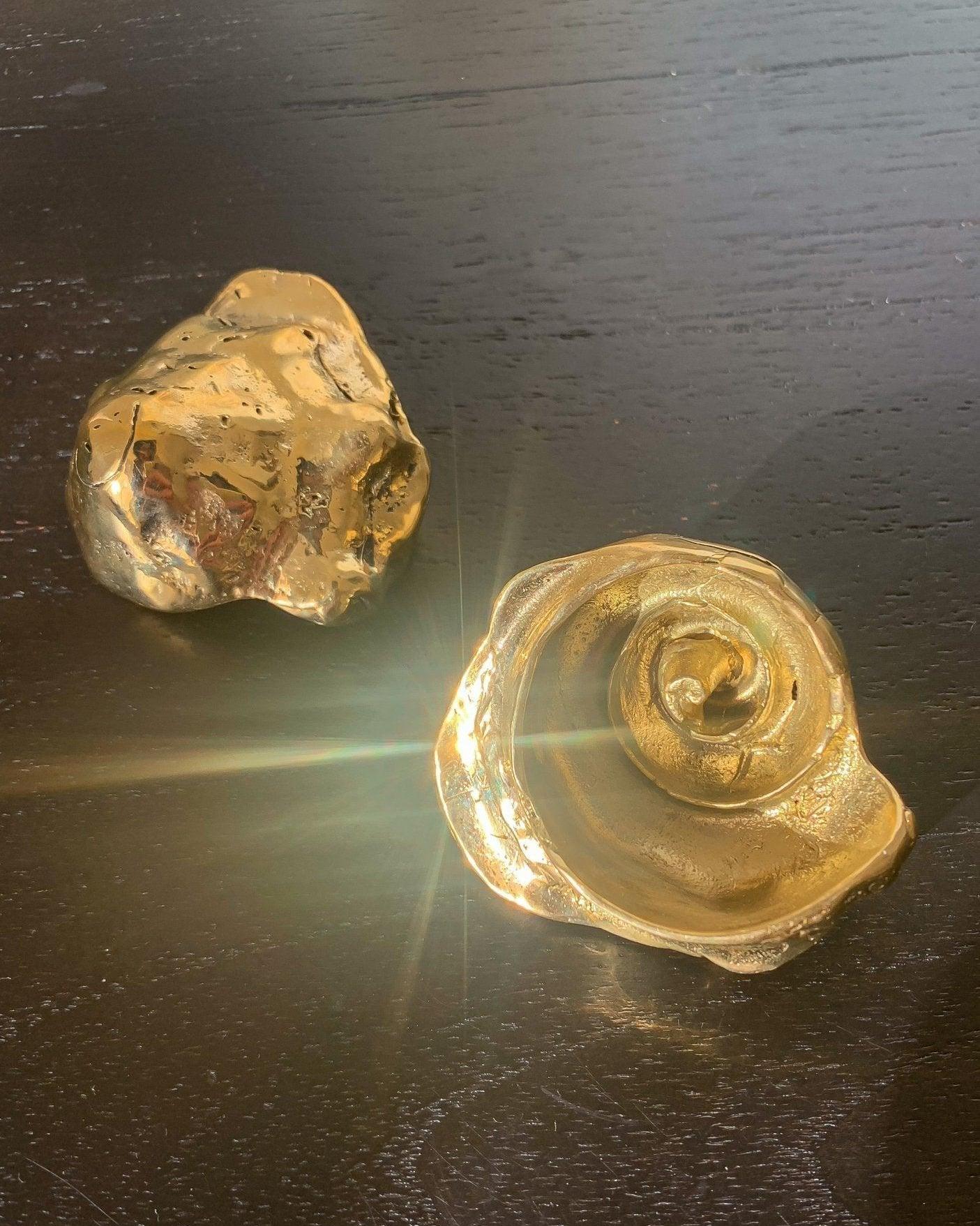 Spiral Shell Objet D'Art - Dea Dia