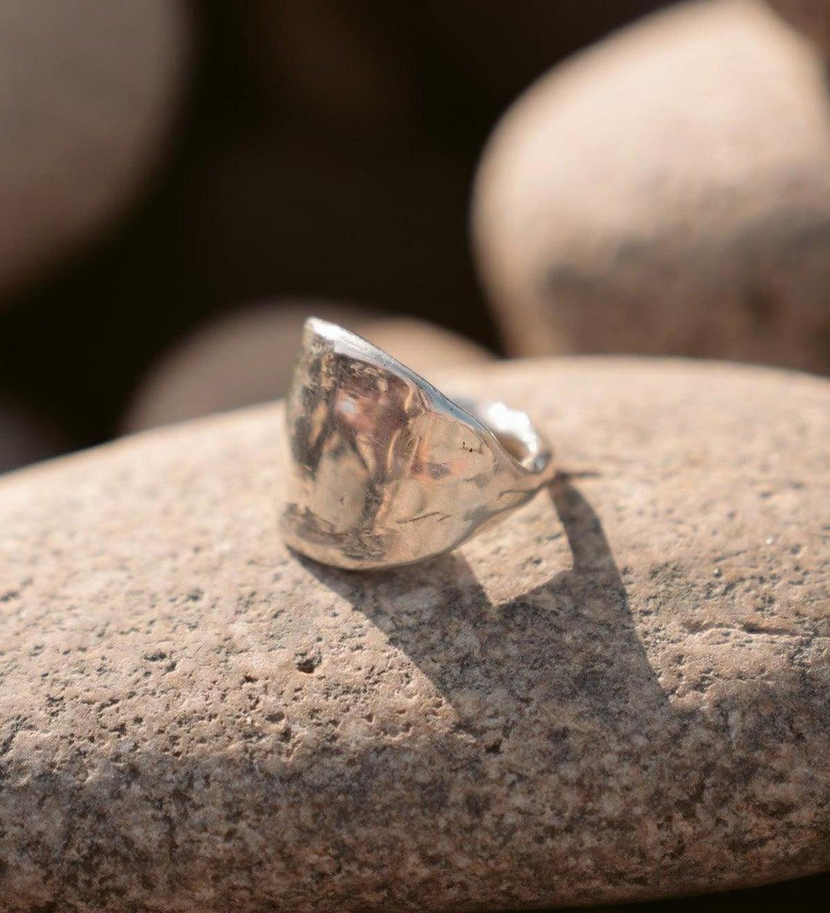 The Protector Ring - Silver Shield Signet Ring - Dea Dia